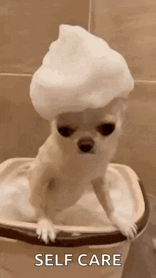 a small dog is taking a bath in a tub with foam on its head .