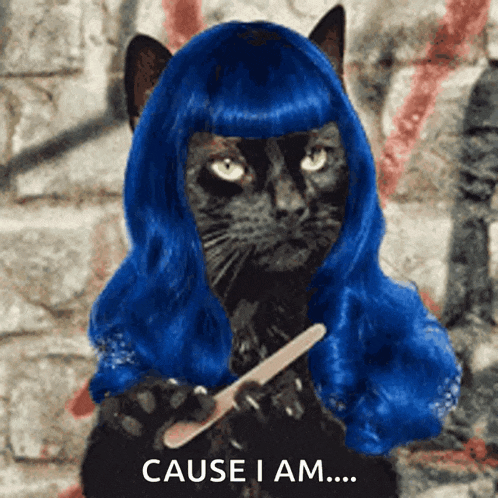 a black cat in a blue wig is holding a nail file