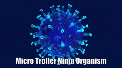 Micro Troller Ninja Organism Science GIF - Micro Troller Ninja Organism Troller Ninja Organism GIFs