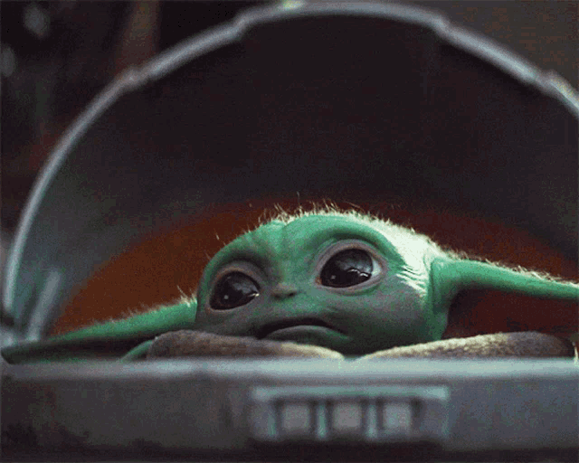 a close up of a baby yoda in a cradle