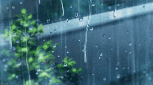 rain is falling on a window with a fence in the background and trees in the foreground .