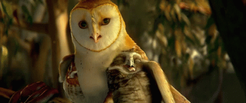Owl Soren GIF - Owl Soren Legend Of The Guardians GIFs