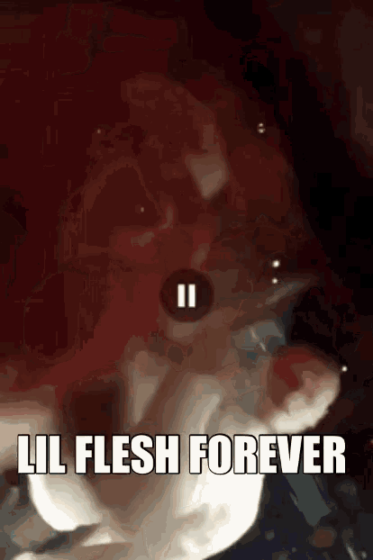 Lil Flesh Forever GIF - Lil Flesh Forever GIFs