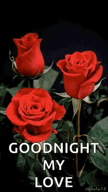 three red roses on a black background with the words `` goodnight my love ''