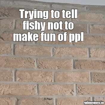 a brick wall with the words " trying to tell fishy not to make fun of ppl " written on it