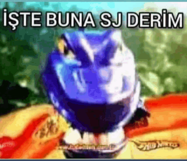 a picture of a blue dinosaur with the words " iste buna sj derim " on it