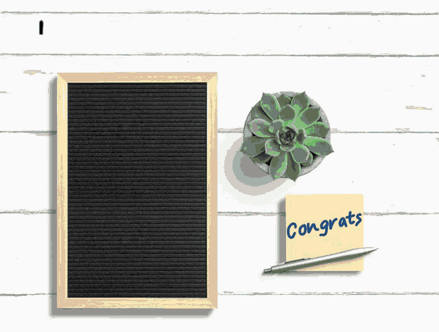 a sign that says congrats is next to a pen and a potted plant
