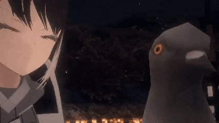 a girl and a pigeon are standing next to each other .