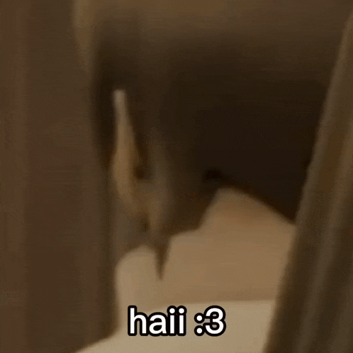 a close up of a person 's face with the words haii 3 written on it
