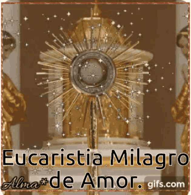 Eucaristia Milagrp De Amor Sparkle GIF - Eucaristia Milagrp De Amor Sparkle Bird GIFs