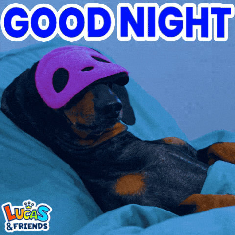 a picture of a dog wearing a sleep mask with the words good night lucas & friends on the bottom
