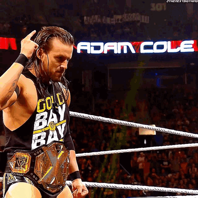 a wrestler wearing a gold bay bay tank top stands in the ring