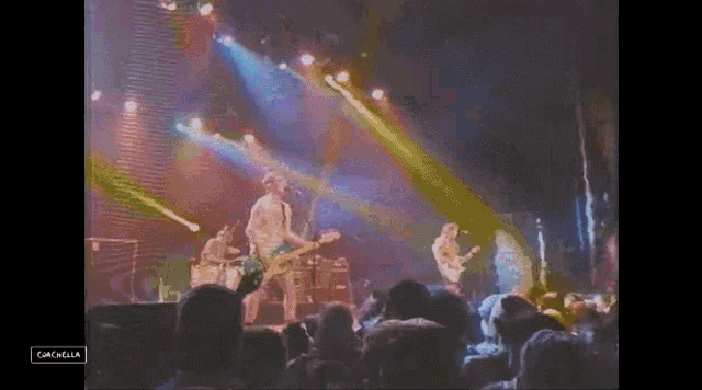 Punk Rock Show The Chats GIF