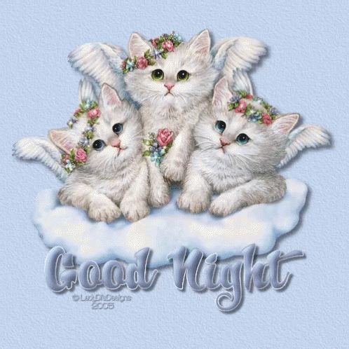 Good Night Kittens GIF - Good Night Kittens Sweet Dreams GIFs