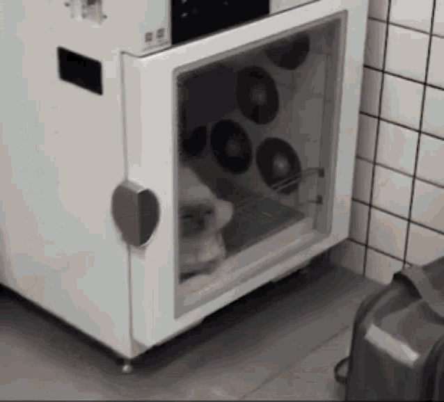 Dishwasher Cat Dishwasher GIF - Dishwasher Cat Dishwasher Cat GIFs