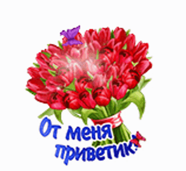 a bouquet of red tulips with the words " от меня приветик " written below it