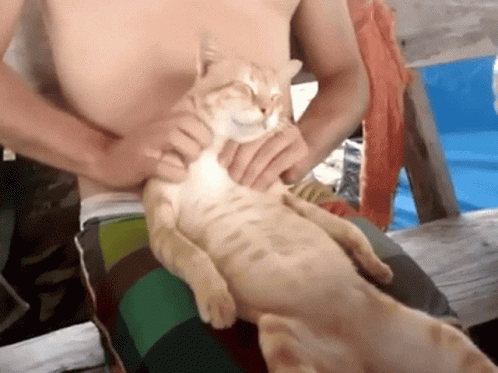 Oh Yeah Baby Feels Good GIF - Oh Yeah Baby Feels Good Massage GIFs