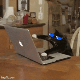 a black cat wearing sunglasses is using an apple laptop