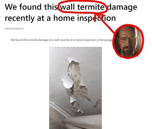 Wall Termite Walter White GIF - Wall Termite Walter White Walter GIFs