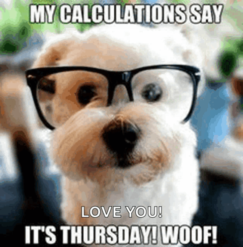 My Calculations Say Its Thursday Woof Luca GIF - My Calculations Say Its Thursday Woof My Calculations Luca GIFs