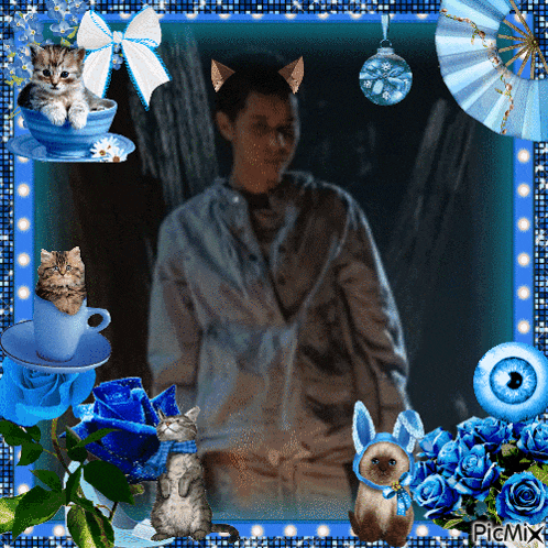 a picture of a man surrounded by blue flowers and kittens with the words picmix on the bottom