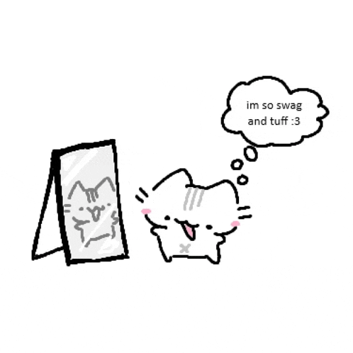 a cartoon cat is looking at itself in a mirror and says `` im so swag and tuff : 3 ''