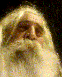 a man with a long white beard and wig