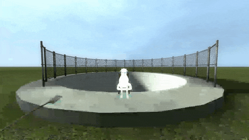 a white sheep is standing in the middle of a circle surrounded by a fence .