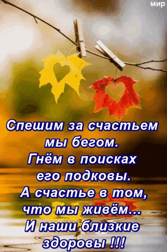a picture of leaves hanging on a clothes line with a foreign language caption