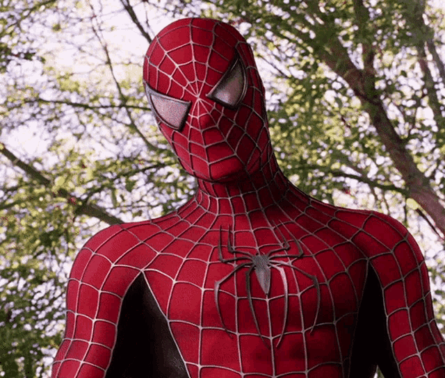 Spider Man2 Tobey Maguire GIF - Spider Man2 Spider Man Tobey Maguire GIFs