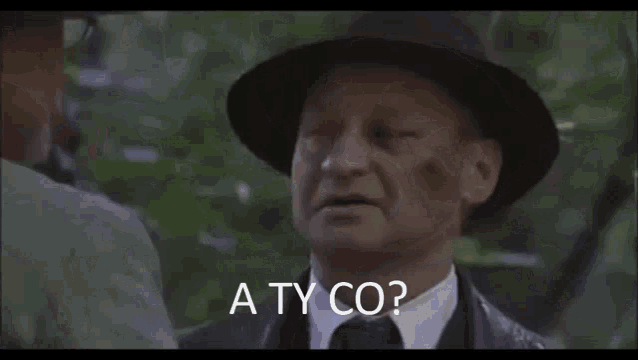 a man wearing a hat and glasses talks to another man with the words " a ty co " written below him