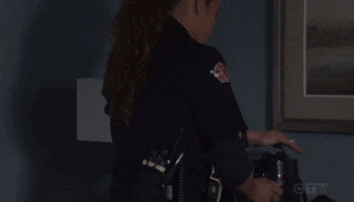 a woman in a police uniform is standing in front of a framed picture on a wall ..