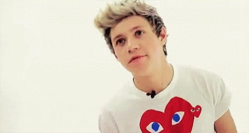 One Direction Niall Horan GIF - One Direction Niall Horan Quote Unquote GIFs