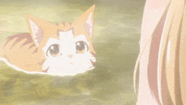 a cat is swimming in the water and looking at a woman