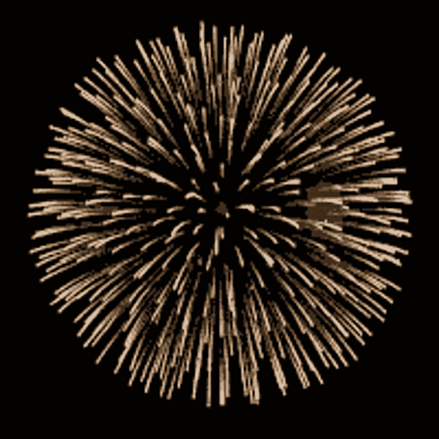 a fireworks display that looks like a flower