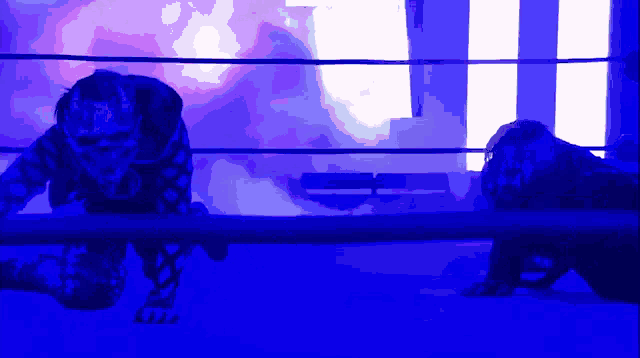 two wrestlers in a ring with a blue light behind them that says a.i.p.