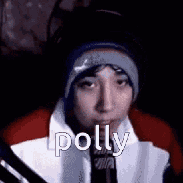 Polly Block Men Polly GIF - Polly Block Men Polly Quackity GIFs