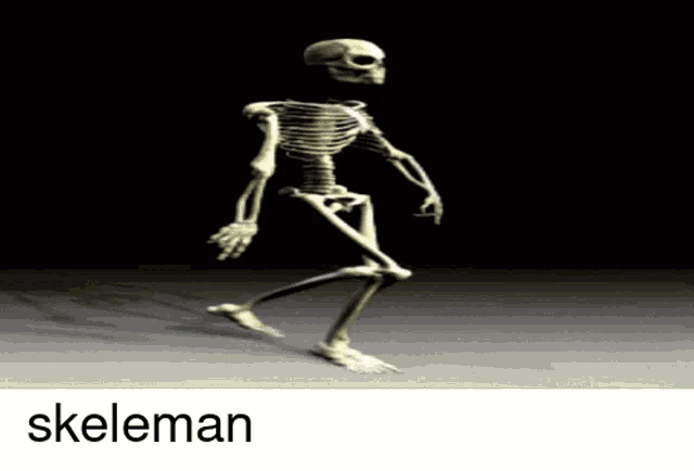 a picture of a skeleton with the word skeleton on the bottom