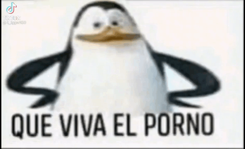 Que Viva El Porno GIF - Que Viva El Porno GIFs
