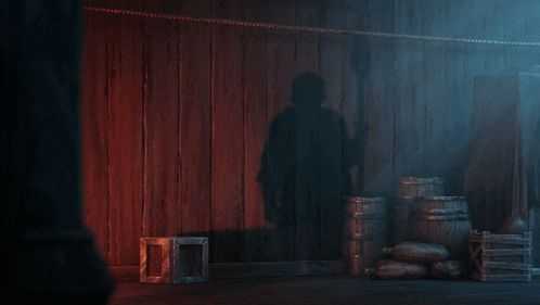 a dark room with barrels and a shadow of a person on the wall