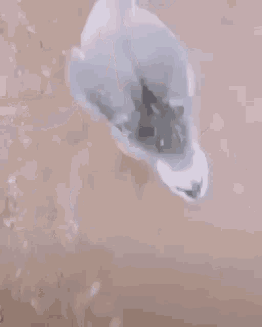 a close up of a person 's face in a bathtub .
