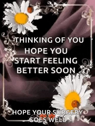 a thinking of you hope you start feeling better soon hope your surgery goes well greeting card with daisies and ladybugs .