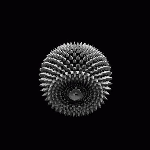 a black and white photo of a spiky object