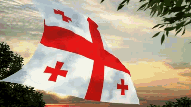 Georgian Georgianflag GIF