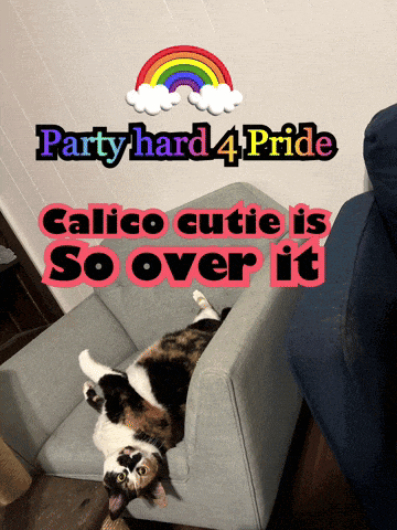 a cat is laying on its back in a chair with the words party hard 4 pride