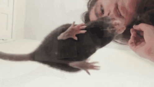 a woman is playing with a rat on a bed .