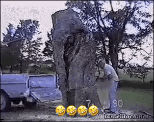 a man is standing next to a large tree in front of a blue truck .