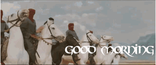 a group of men riding white horses with the words good morning written in black