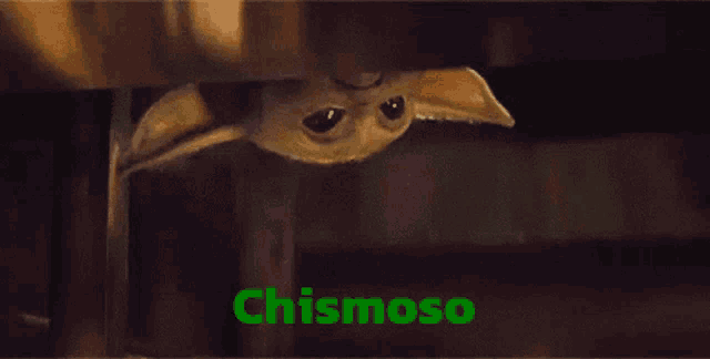 a close up of a baby yoda peeking out from under a wall with the words chismoso written in green .