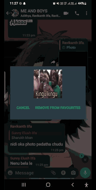 a screenshot of a text conversation between ravikanth lifa and sunny ellush lifa